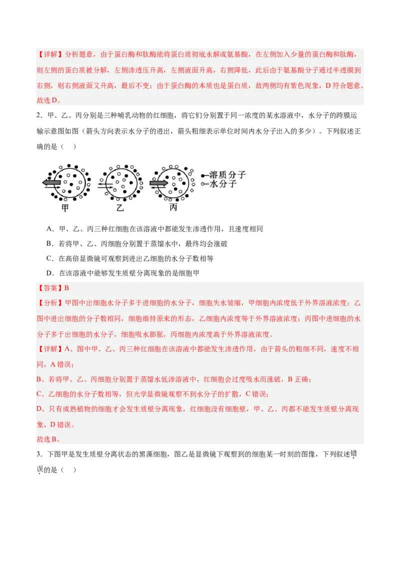 考点通关卷07物质运输（解析版）_2025年新高考资料_一轮复习_2025年高考生物一轮复习考点通关卷（新高考通用）_考点通关卷07物质运输-2025年高考生物一轮复习考点通关卷（新高考通用）