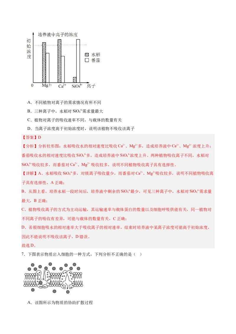 考点通关卷07物质运输（解析版）_2025年新高考资料_一轮复习_2025年高考生物一轮复习考点通关卷（新高考通用）_考点通关卷07物质运输-2025年高考生物一轮复习考点通关卷（新高考通用）