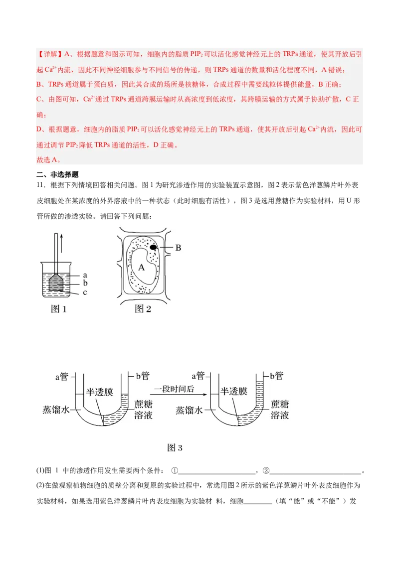 考点通关卷07物质运输（解析版）_2025年新高考资料_一轮复习_2025年高考生物一轮复习考点通关卷（新高考通用）_考点通关卷07物质运输-2025年高考生物一轮复习考点通关卷（新高考通用）