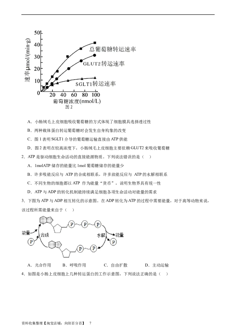 考点通关卷08酶和ATP（原卷版）_新高考复习资料_2024年新高考复习资料_一轮复习资料_完2024年高考生物一轮复习考点通关卷（新高考）_考点通关卷08酶和ATP