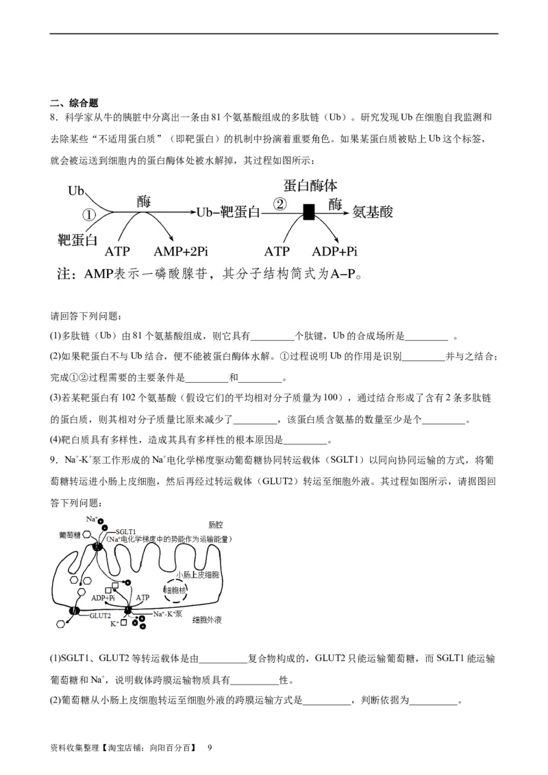 考点通关卷08酶和ATP（原卷版）_新高考复习资料_2024年新高考复习资料_一轮复习资料_完2024年高考生物一轮复习考点通关卷（新高考）_考点通关卷08酶和ATP
