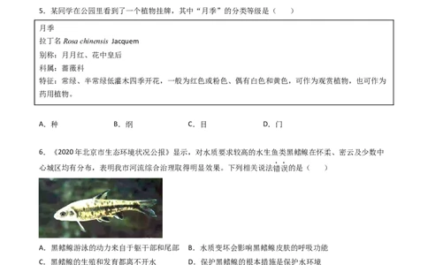 专题18生物的多样性及其保护-2022年中考生物一轮复习抓重点考典型（人教版）（原卷版）_6生物中考复习_2023年中考复习资料_一轮复习_2022年中考生物一轮复习抓重点考典型（人教版）