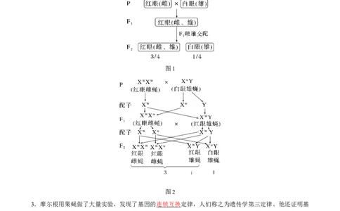 考点通关卷17遗传的基础知识（解析版）_新高考复习资料_2024年新高考复习资料_一轮复习资料_完2024年高考生物一轮复习考点通关卷（新高考）_考点通关卷17遗传的基础知识