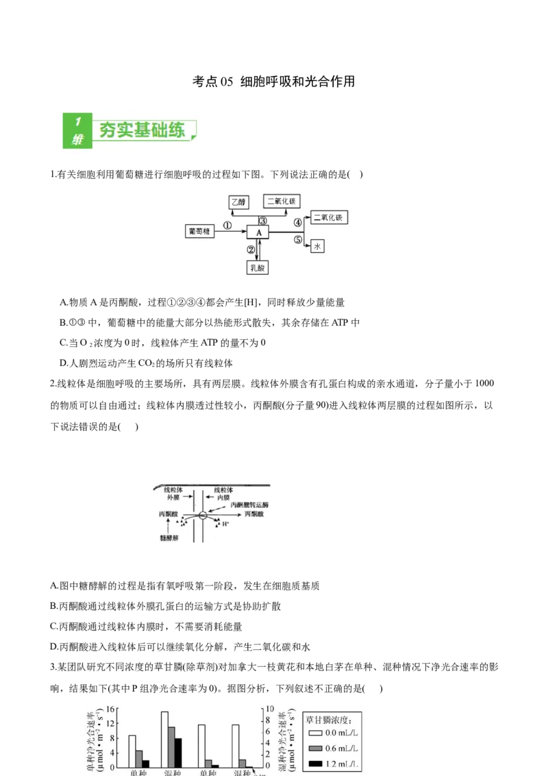 考点05细胞呼吸与光合作用-2022年高考生物一轮复习小题多维练（新高考专用）（原卷版）_新高考复习资料_2022年新高考复习资料