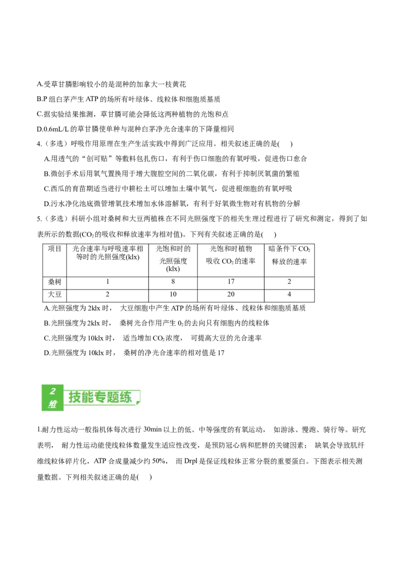 考点05细胞呼吸与光合作用-2022年高考生物一轮复习小题多维练（新高考专用）（原卷版）_新高考复习资料_2022年新高考复习资料