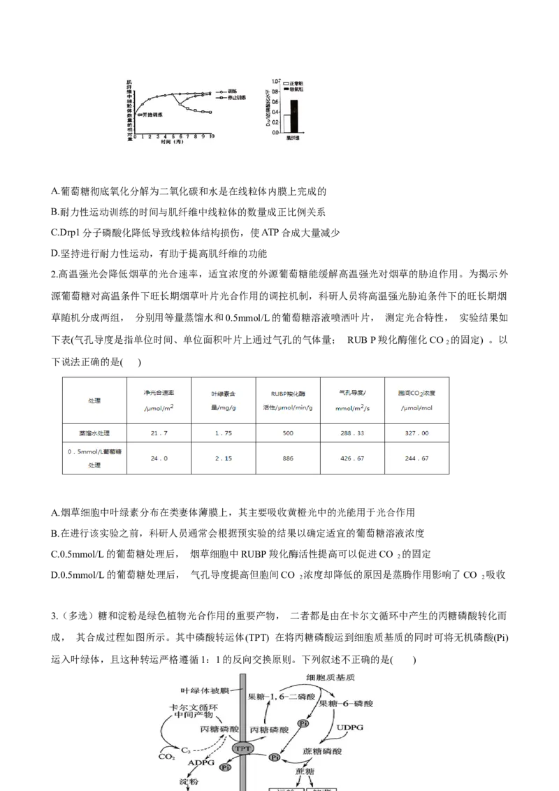 考点05细胞呼吸与光合作用-2022年高考生物一轮复习小题多维练（新高考专用）（原卷版）_新高考复习资料_2022年新高考复习资料
