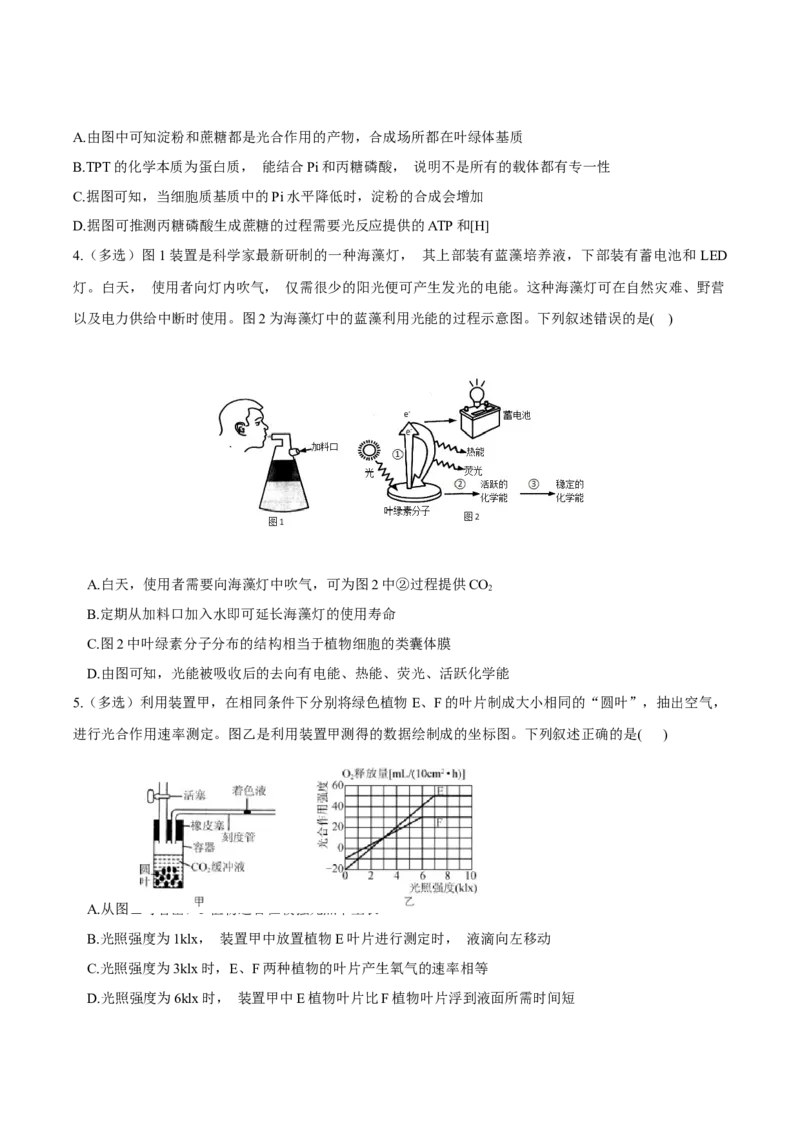 考点05细胞呼吸与光合作用-2022年高考生物一轮复习小题多维练（新高考专用）（原卷版）_新高考复习资料_2022年新高考复习资料