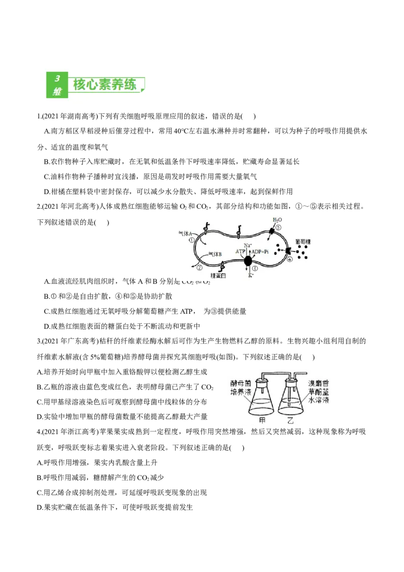考点05细胞呼吸与光合作用-2022年高考生物一轮复习小题多维练（新高考专用）（原卷版）_新高考复习资料_2022年新高考复习资料