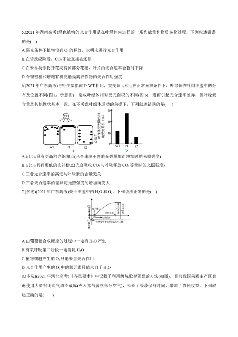 考点05细胞呼吸与光合作用-2022年高考生物一轮复习小题多维练（新高考专用）（原卷版）_新高考复习资料_2022年新高考复习资料