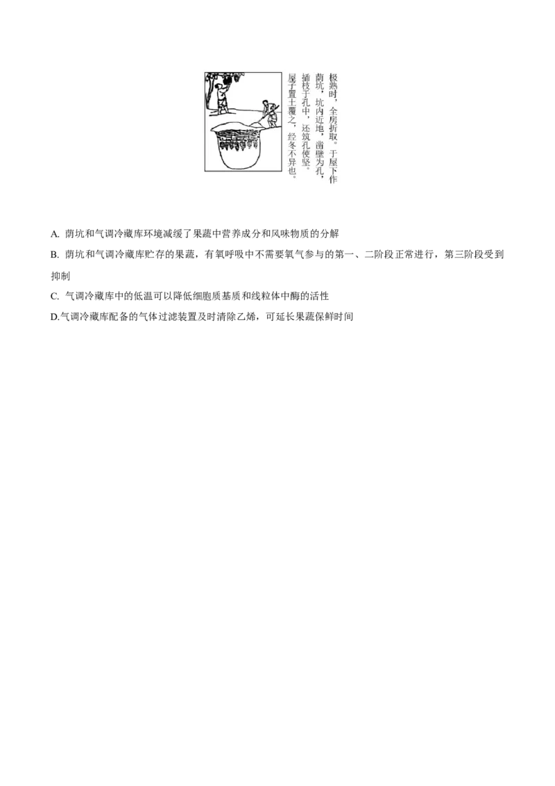 考点05细胞呼吸与光合作用-2022年高考生物一轮复习小题多维练（新高考专用）（原卷版）_新高考复习资料_2022年新高考复习资料