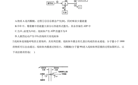 考点05细胞呼吸与光合作用-2022年高考生物一轮复习小题多维练（新高考专用）（原卷版）_新高考复习资料_2022年新高考复习资料