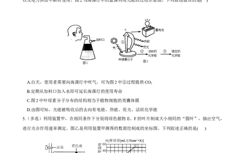 考点05细胞呼吸与光合作用-2022年高考生物一轮复习小题多维练（新高考专用）（原卷版）_新高考复习资料_2022年新高考复习资料