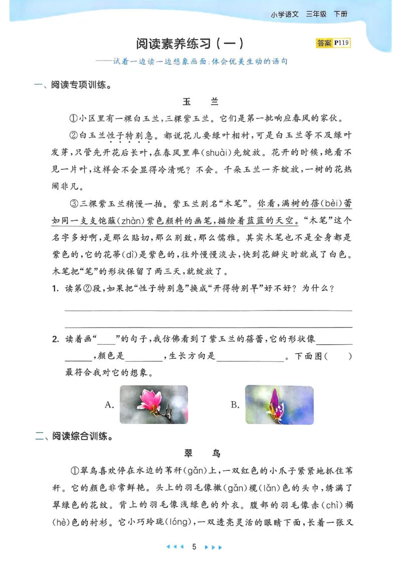 53天天练人教语文3下_26春53小学系列合集_1-6年级语文下册人教版《53天天练》