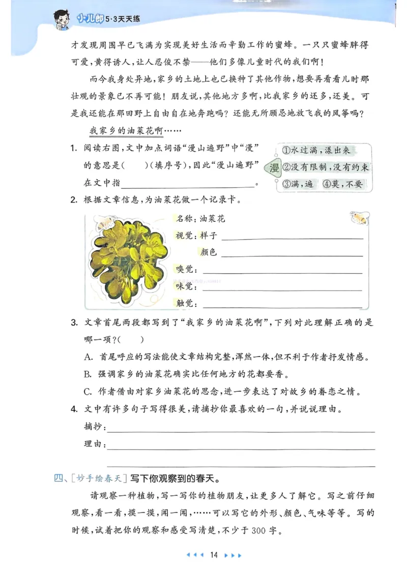 53天天练人教语文3下_26春53小学系列合集_1-6年级语文下册人教版《53天天练》