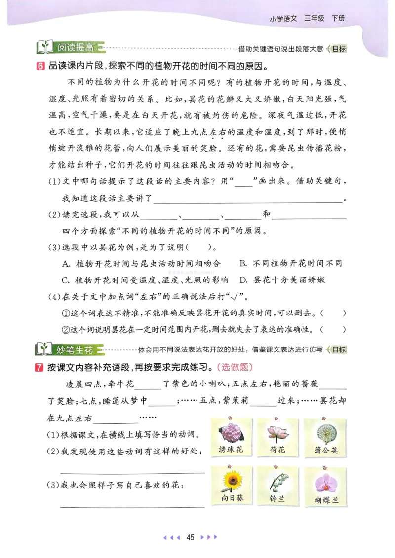 53天天练人教语文3下_26春53小学系列合集_1-6年级语文下册人教版《53天天练》