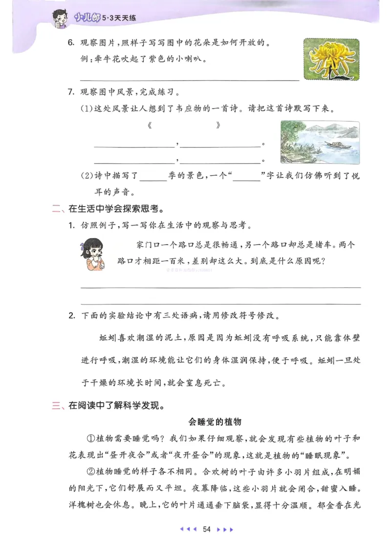 53天天练人教语文3下_26春53小学系列合集_1-6年级语文下册人教版《53天天练》