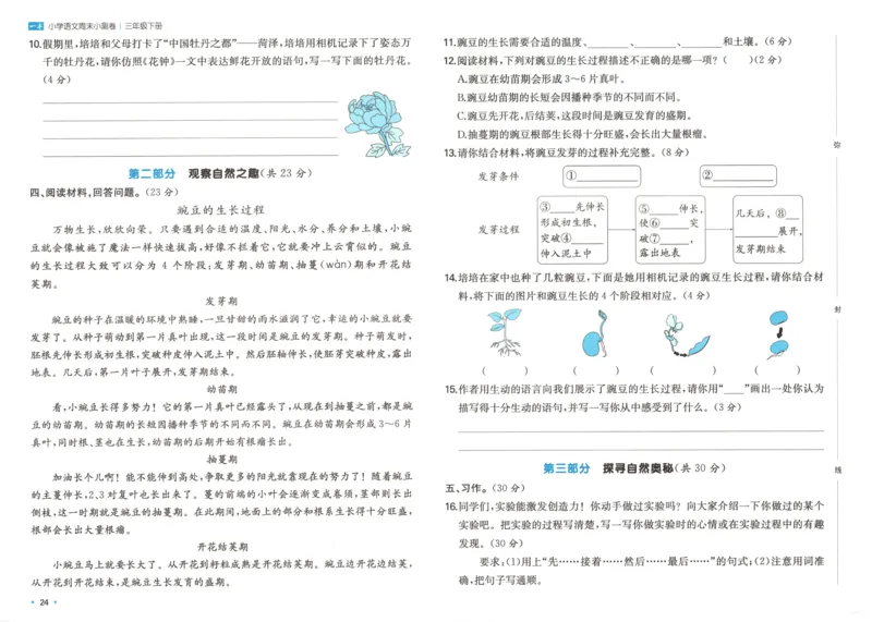 一本周末小测卷三年级下册语文_2026春季学期_周末预测小卷_26春语文_赠送：小学语文《一本&bull;周末小测卷》2025春