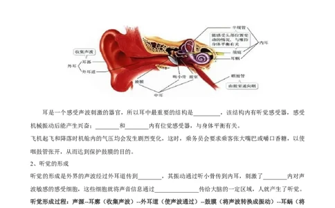 专题七人体生命活动的调节-2023年中考生物核心考点必背合集_6生物中考复习_2023年中考复习资料_专项复习_2023年中考生物核心考点必背合集-----