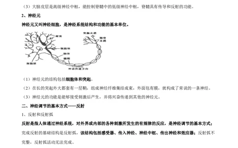 专题七人体生命活动的调节-2023年中考生物核心考点必背合集_6生物中考复习_2023年中考复习资料_专项复习_2023年中考生物核心考点必背合集-----