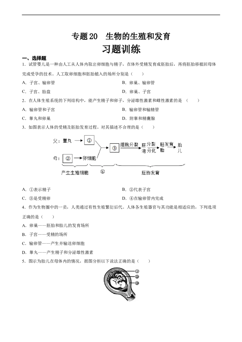 专题20生物的生殖和发育（习题精练）-省心备考2024年中考生物一轮复习精讲精练（全国通用）（原卷版）_6生物中考复习_2024年中考复习资料_一轮复习资料_配套练习（原卷版+解析版）