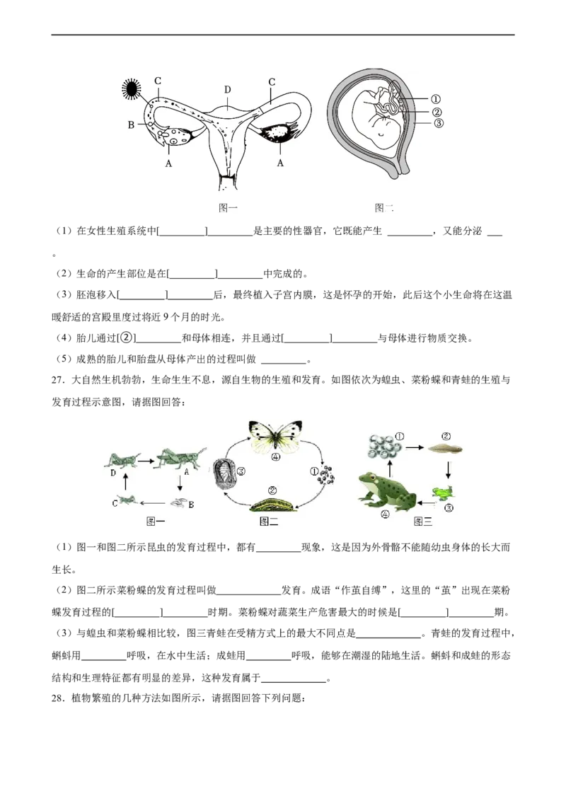 专题20生物的生殖和发育（习题精练）-省心备考2024年中考生物一轮复习精讲精练（全国通用）（原卷版）_6生物中考复习_2024年中考复习资料_一轮复习资料_配套练习（原卷版+解析版）