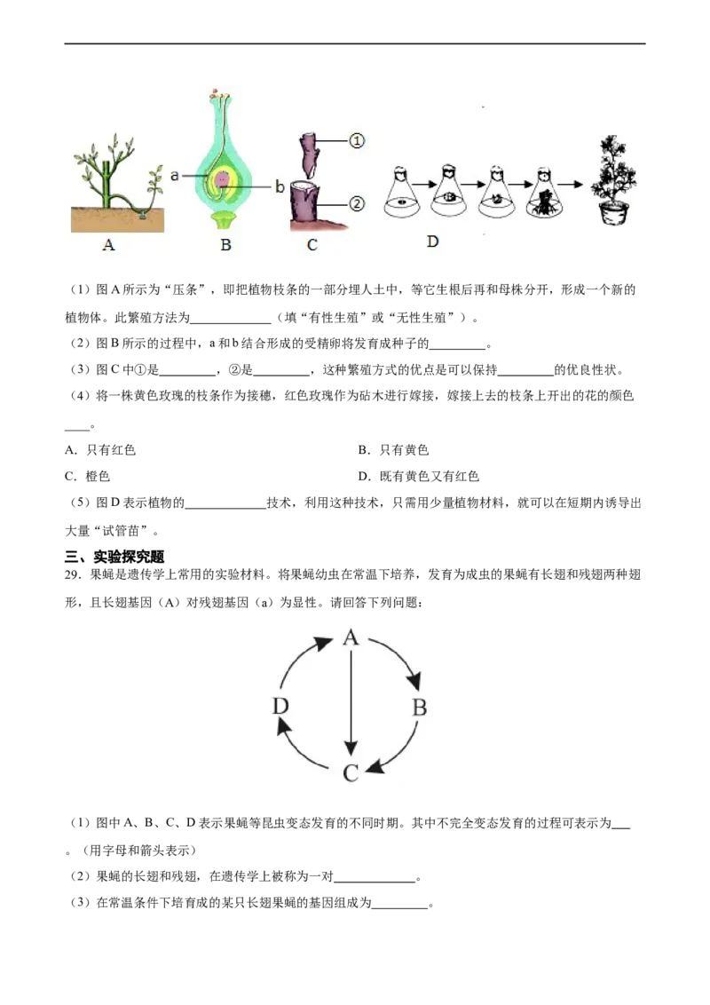 专题20生物的生殖和发育（习题精练）-省心备考2024年中考生物一轮复习精讲精练（全国通用）（原卷版）_6生物中考复习_2024年中考复习资料_一轮复习资料_配套练习（原卷版+解析版）