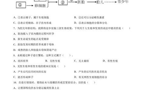 专题20生物的生殖和发育（习题精练）-省心备考2024年中考生物一轮复习精讲精练（全国通用）（原卷版）_6生物中考复习_2024年中考复习资料_一轮复习资料_配套练习（原卷版+解析版）