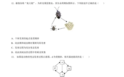 专题20生物的生殖和发育（习题精练）-省心备考2024年中考生物一轮复习精讲精练（全国通用）（原卷版）_6生物中考复习_2024年中考复习资料_一轮复习资料_配套练习（原卷版+解析版）