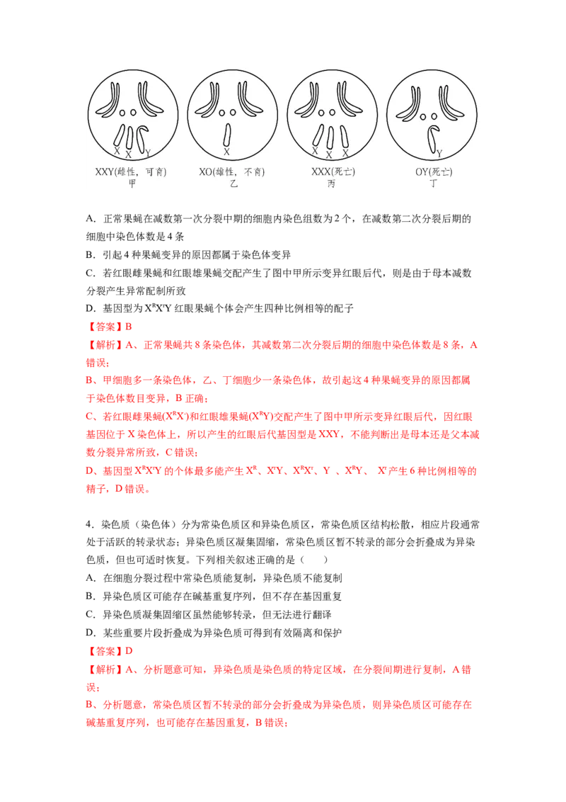考点22染色体变异（解析版）_通用版（老高考）复习资料_2023年复习资料_一轮复习_2023年高考生物一轮复习讲练测（全国通用）