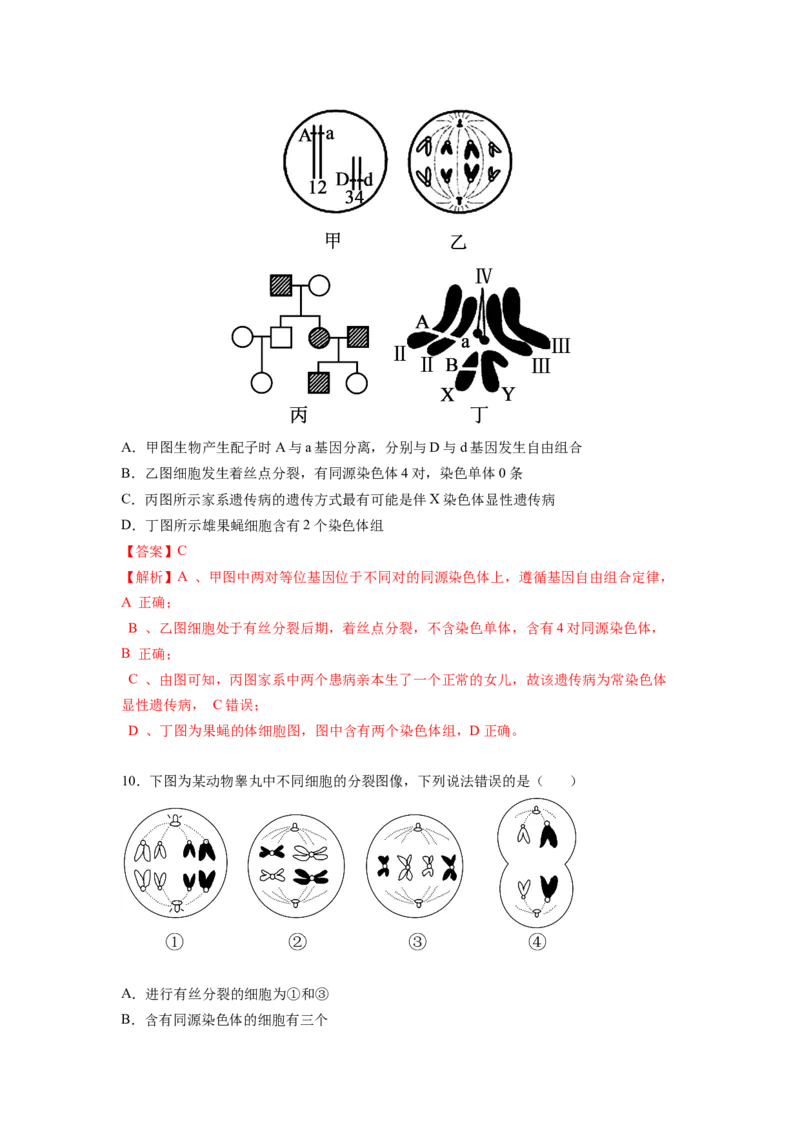考点22染色体变异（解析版）_通用版（老高考）复习资料_2023年复习资料_一轮复习_2023年高考生物一轮复习讲练测（全国通用）