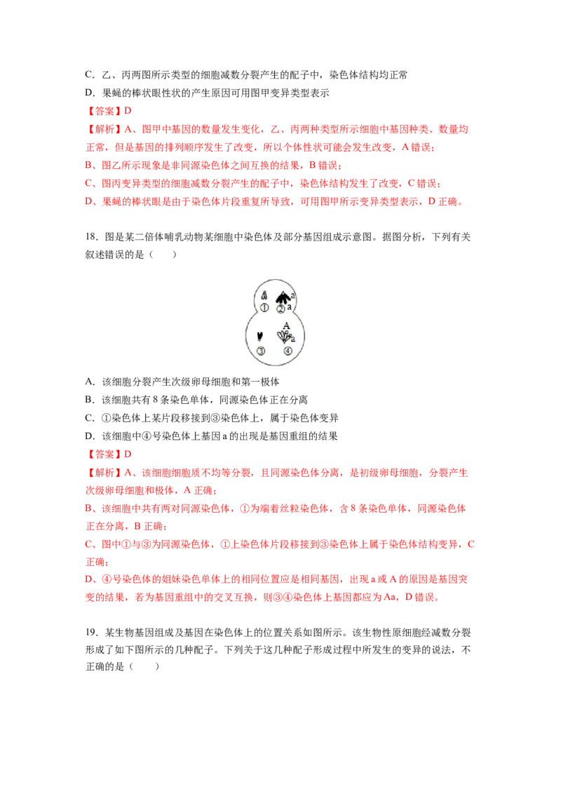 考点22染色体变异（解析版）_通用版（老高考）复习资料_2023年复习资料_一轮复习_2023年高考生物一轮复习讲练测（全国通用）