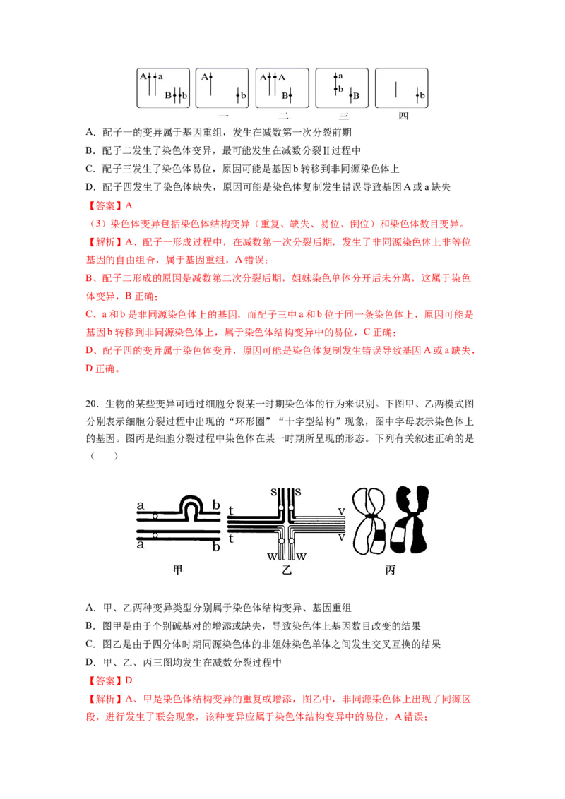考点22染色体变异（解析版）_通用版（老高考）复习资料_2023年复习资料_一轮复习_2023年高考生物一轮复习讲练测（全国通用）