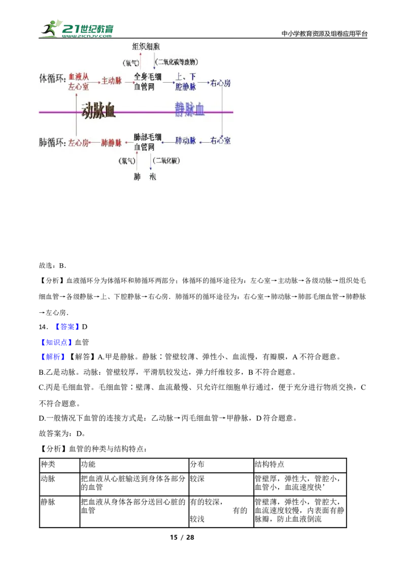 人教版2023届中考一轮复习专用训练卷&mdash;专题13人体内物质的运输（含解析）_6生物中考复习_2023年中考复习资料_一轮复习_人教版2023届中考生物一轮复习专用训练卷