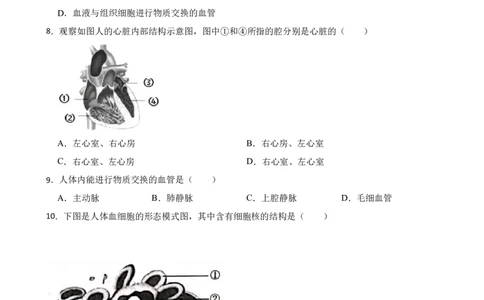 人教版2023届中考一轮复习专用训练卷&mdash;专题13人体内物质的运输（含解析）_6生物中考复习_2023年中考复习资料_一轮复习_人教版2023届中考生物一轮复习专用训练卷