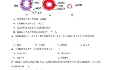 人教版2023届中考一轮复习专用训练卷&mdash;专题13人体内物质的运输（含解析）_6生物中考复习_2023年中考复习资料_一轮复习_人教版2023届中考生物一轮复习专用训练卷