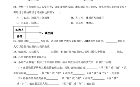 人教版2023届中考一轮复习专用训练卷&mdash;专题13人体内物质的运输（含解析）_6生物中考复习_2023年中考复习资料_一轮复习_人教版2023届中考生物一轮复习专用训练卷