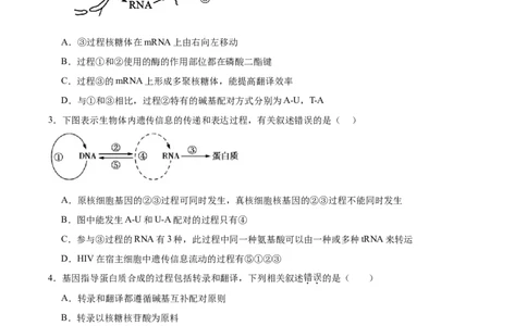 考点通关卷21基因的表达、基因与性状的关系（原卷版）_2025年新高考资料_一轮复习_2025年高考生物一轮复习考点通关卷（新高考通用）