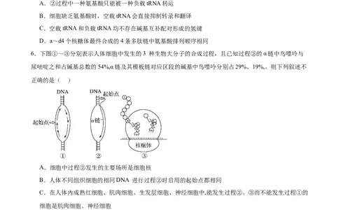 考点通关卷21基因的表达、基因与性状的关系（原卷版）_2025年新高考资料_一轮复习_2025年高考生物一轮复习考点通关卷（新高考通用）