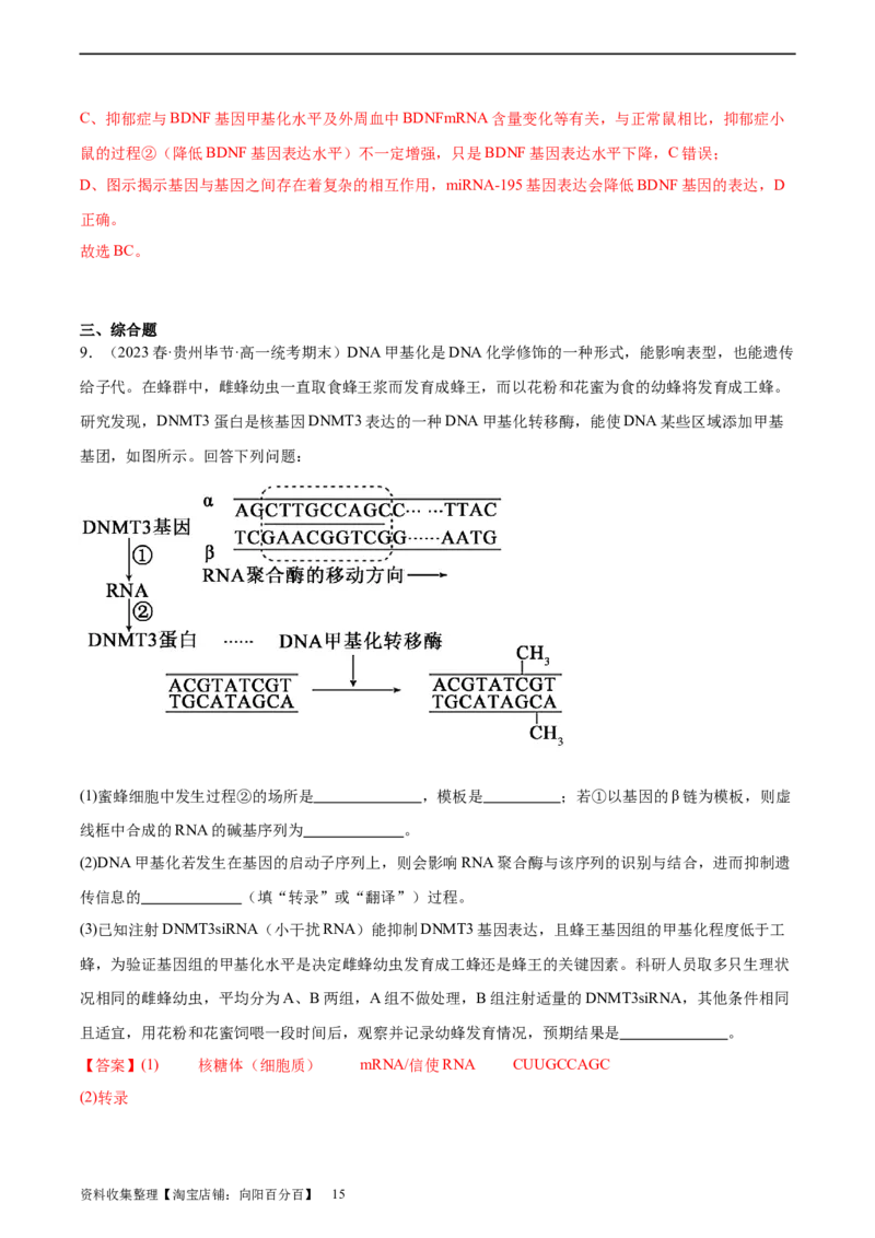 考点通关卷22基因的表达、基因与性状的关系（解析版）_新高考复习资料_2024年新高考复习资料_一轮复习资料_完2024年高考生物一轮复习考点通关卷（新高考）