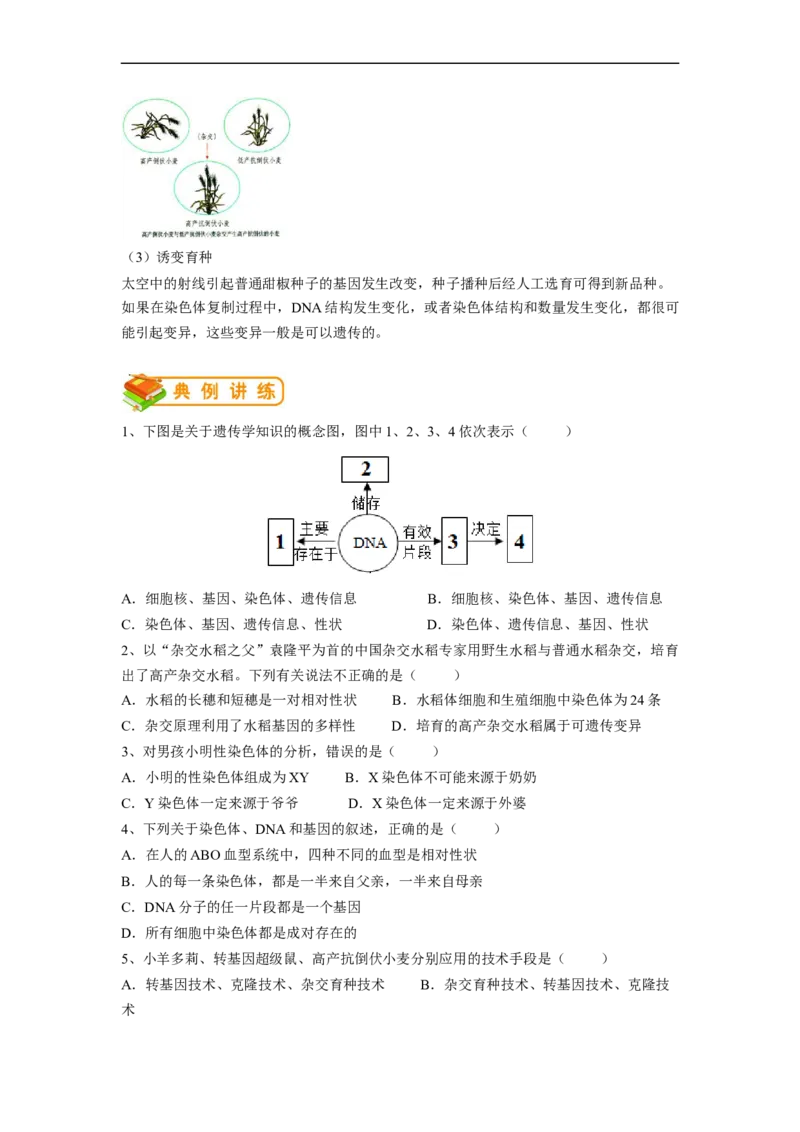 专题20生物的遗传与变异-2022年中考生物一轮复习抓重点考典型（人教版）（原卷版）_6生物中考复习_2023年中考复习资料_一轮复习_2022年中考生物一轮复习抓重点考典型（人教版）