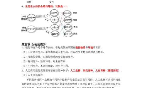 专题20生物的遗传与变异-2022年中考生物一轮复习抓重点考典型（人教版）（原卷版）_6生物中考复习_2023年中考复习资料_一轮复习_2022年中考生物一轮复习抓重点考典型（人教版）