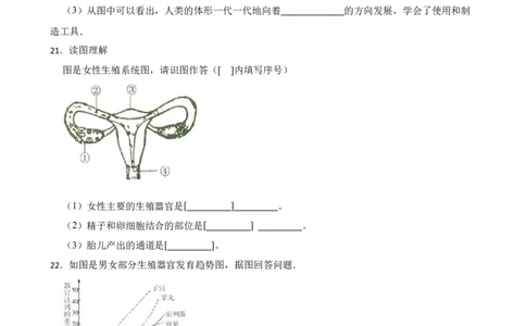 人教版2023届中考一轮复习专用训练卷&mdash;专题10人的生殖（含解析）_6生物中考复习_2023年中考复习资料_一轮复习_人教版2023届中考生物一轮复习专用训练卷