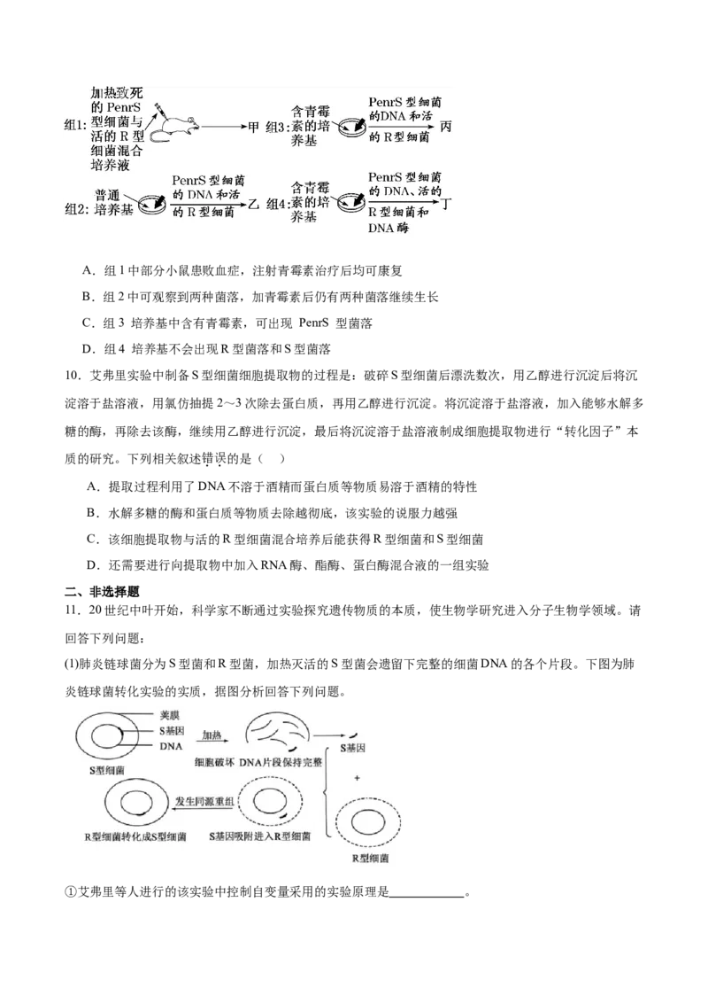 考点通关卷19DNA是主要的遗传物质（原卷版）_2025年新高考资料_一轮复习_2025年高考生物一轮复习考点通关卷（新高考通用）