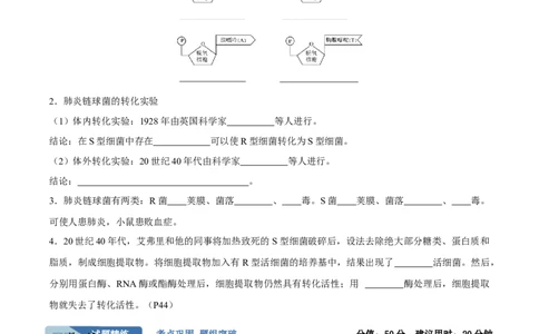 考点通关卷19DNA是主要的遗传物质（原卷版）_2025年新高考资料_一轮复习_2025年高考生物一轮复习考点通关卷（新高考通用）