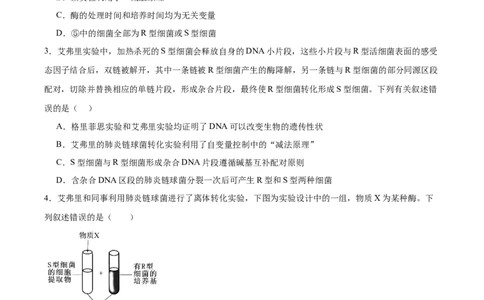 考点通关卷19DNA是主要的遗传物质（原卷版）_2025年新高考资料_一轮复习_2025年高考生物一轮复习考点通关卷（新高考通用）