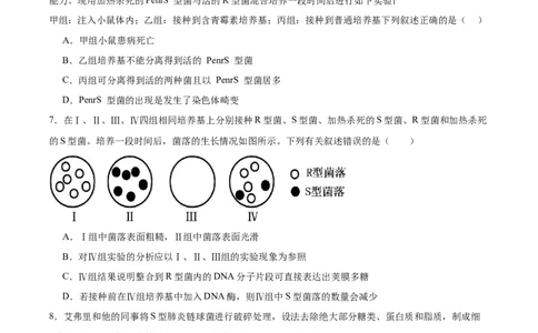考点通关卷19DNA是主要的遗传物质（原卷版）_2025年新高考资料_一轮复习_2025年高考生物一轮复习考点通关卷（新高考通用）