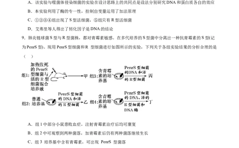 考点通关卷19DNA是主要的遗传物质（原卷版）_2025年新高考资料_一轮复习_2025年高考生物一轮复习考点通关卷（新高考通用）