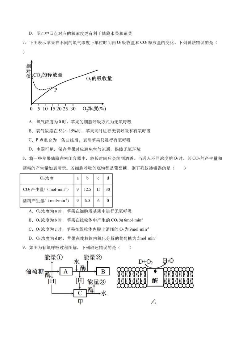 考点通关卷09细胞呼吸（原卷版）_新高考复习资料_2025年新高考资料_2025年高考生物一轮复习考点通关卷（新高考通用）