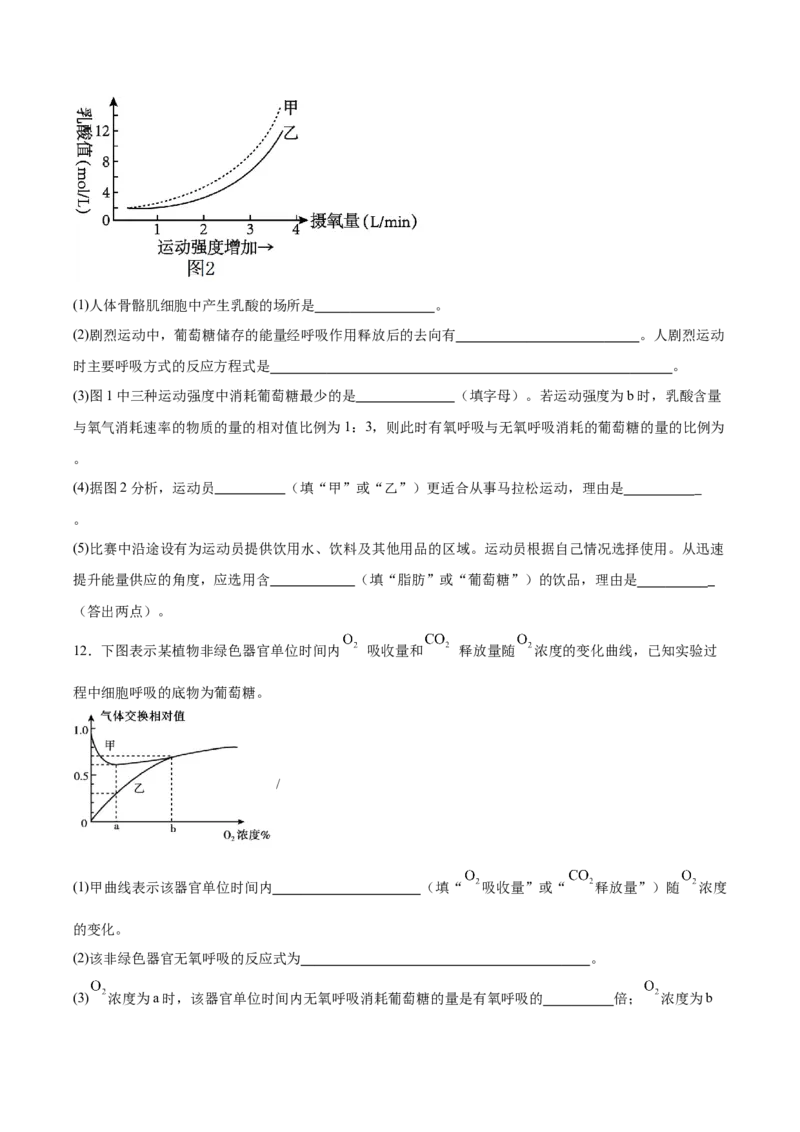 考点通关卷09细胞呼吸（原卷版）_新高考复习资料_2025年新高考资料_2025年高考生物一轮复习考点通关卷（新高考通用）
