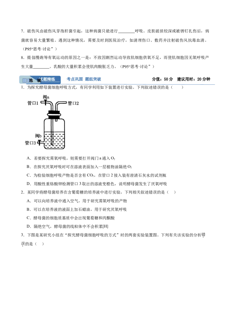 考点通关卷09细胞呼吸（原卷版）_新高考复习资料_2025年新高考资料_2025年高考生物一轮复习考点通关卷（新高考通用）